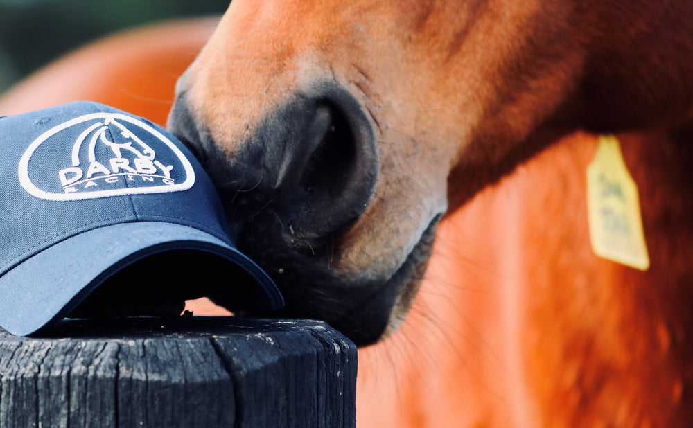 Derby Rider Cap DARBY RACING SIGNATURE CAP – darbyapparel